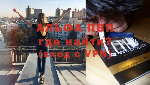 spice Дмитров