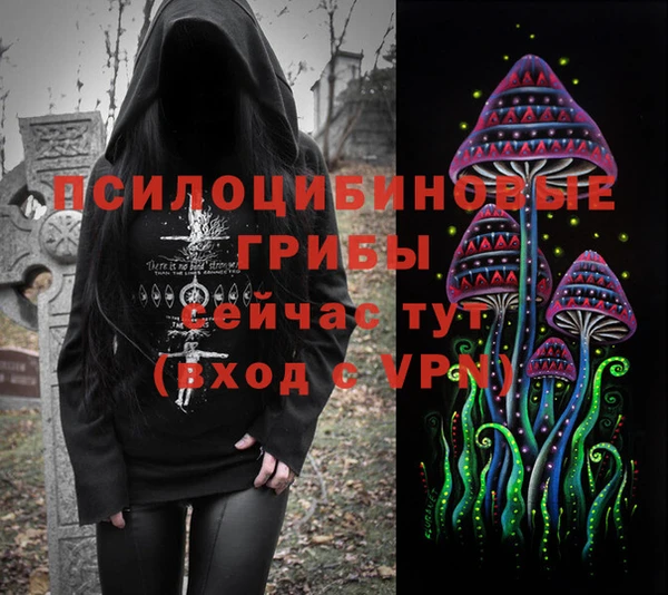 spice Дмитров