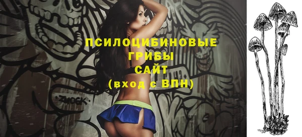 гидра Дмитриев