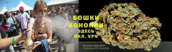 spice Дмитров