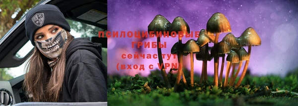 прущие грибы Снежинск